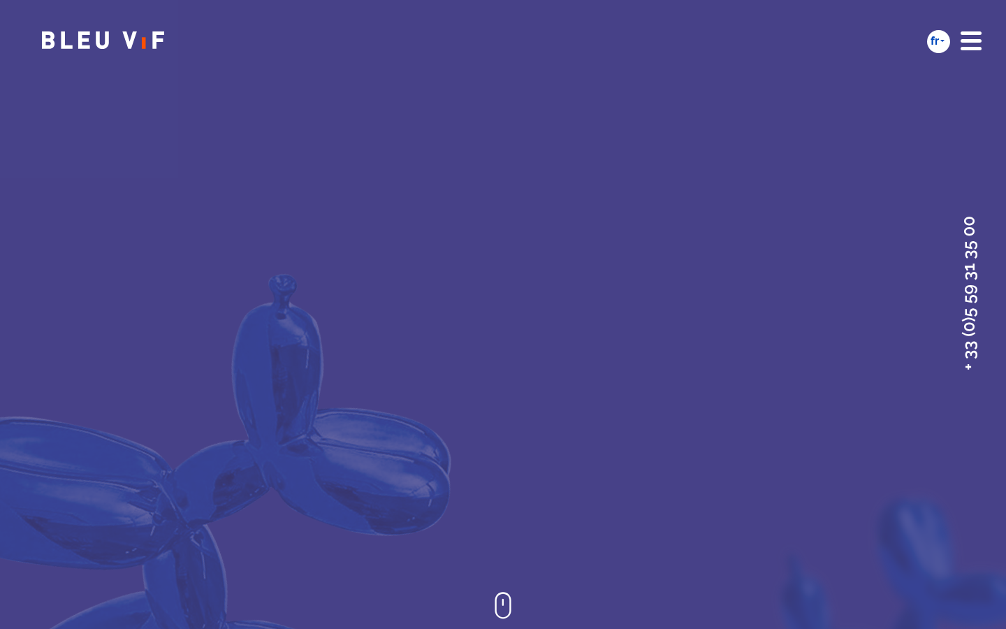 Aperçu du site Bleu Vif